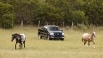 Ford F-150 SuperCab 2004 года